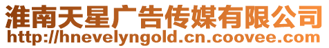 淮南天星廣告傳媒有限公司