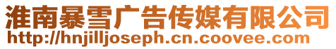 淮南暴雪廣告?zhèn)髅接邢薰? style=