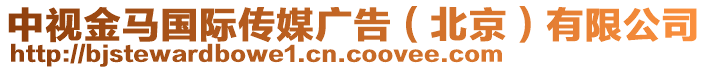 中視金馬國際傳媒廣告(北京)有限公司