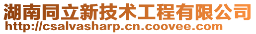 湖南同立新技術(shù)工程有限公司