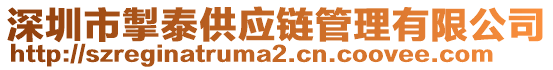 深圳市掣泰供應(yīng)鏈管理有限公司