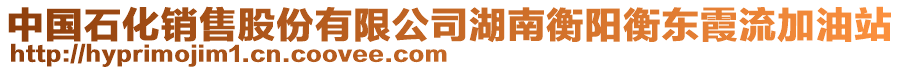 中國(guó)石化銷售股份有限公司湖南衡陽(yáng)衡東霞流加油站