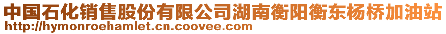 中國石化銷售股份有限公司湖南衡陽衡東楊橋加油站