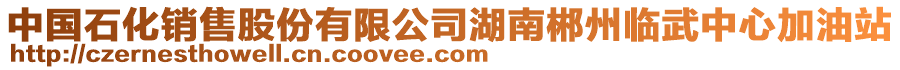 中國(guó)石化銷售股份有限公司湖南郴州臨武中心加油站