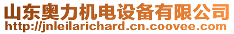 山東奧力機(jī)電設(shè)備有限公司