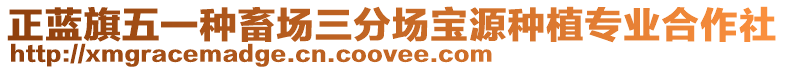 正藍(lán)旗五一種畜場(chǎng)三分場(chǎng)寶源種植專業(yè)合作社