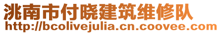 洮南市付曉建筑維修隊