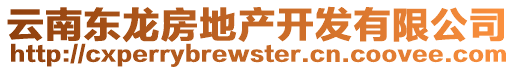 云南東龍房地產(chǎn)開發(fā)有限公司