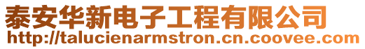 泰安華新電子工程有限公司