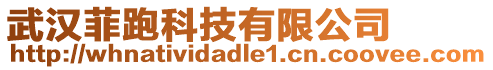 武漢菲跑科技有限公司