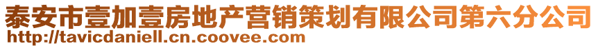 泰安市壹加壹房地產營銷策劃有限公司第六分公司