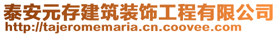 泰安元存建筑裝飾工程有限公司