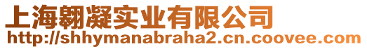 上海翱凝實(shí)業(yè)有限公司