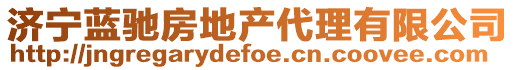 济宁蓝驰房地产代理有限公司