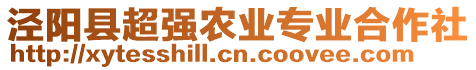 泾阳县超强农业专业合作社