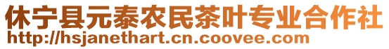 休宁县元泰农民茶叶专业合作社