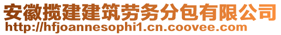 安徽攬建建筑勞務(wù)分包有限公司