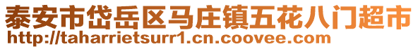 泰安市岱岳區(qū)馬莊鎮(zhèn)五花八門超市