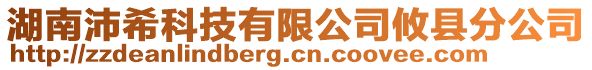 湖南沛?？萍加邢薰矩h分公司