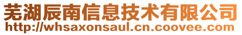 蕪湖辰南信息技術有限公司