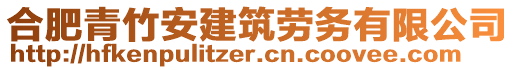 合肥青竹安建筑勞務有限公司