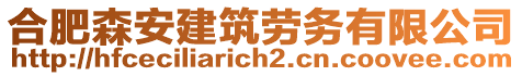 合肥森安建筑勞務有限公司