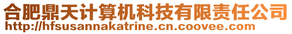 合肥鼎天計(jì)算機(jī)科技有限責(zé)任公司