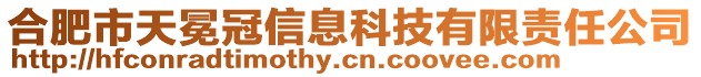 合肥市天冕冠信息科技有限責(zé)任公司