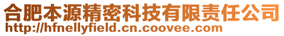 合肥本源精密科技有限责任公司