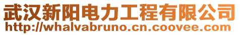 武漢新陽電力工程有限公司