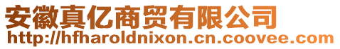安徽真億商貿有限公司