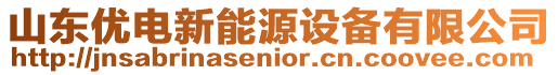 山東優電新能源設備有限公司