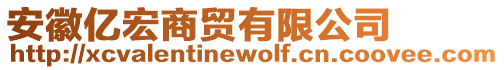 安徽億宏商貿有限公司