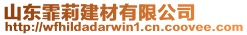 山東霏莉建材有限公司