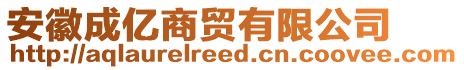 安徽成億商貿(mào)有限公司