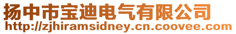揚中市寶迪電氣有限公司