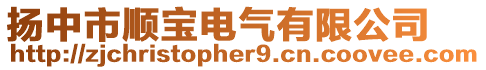 揚(yáng)中市順寶電氣有限公司