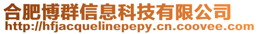 合肥博群信息科技有限公司