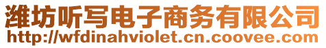 濰坊聽(tīng)寫電子商務(wù)有限公司