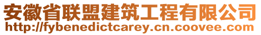 安徽省聯盟建筑工程有限公司