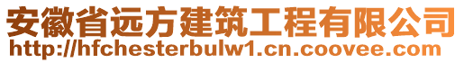 安徽省遠方建筑工程有限公司