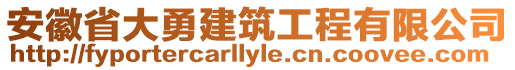 安徽省大勇建筑工程有限公司