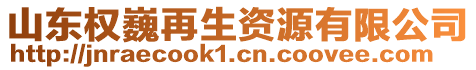 山東權(quán)巍再生資源有限公司