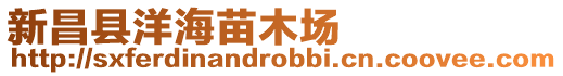 新昌縣洋海苗木場