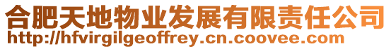 合肥天地物業發展有限責任公司