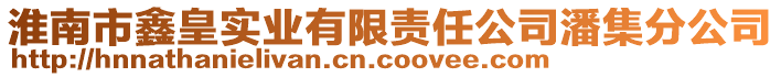 淮南市鑫皇實(shí)業(yè)有限責(zé)任公司潘集分公司