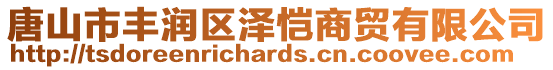 唐山市豐潤區澤愷商貿有限公司