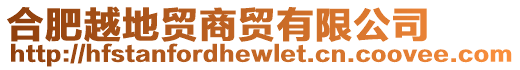 合肥越地貿(mào)商貿(mào)有限公司