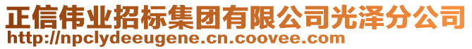 正信偉業(yè)招標(biāo)集團(tuán)有限公司光澤分公司