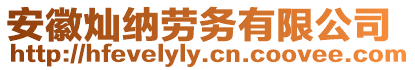 安徽燦納勞務有限公司